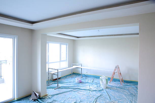 Professional Drywall & Painting Services in Hector, MN